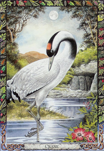Crane